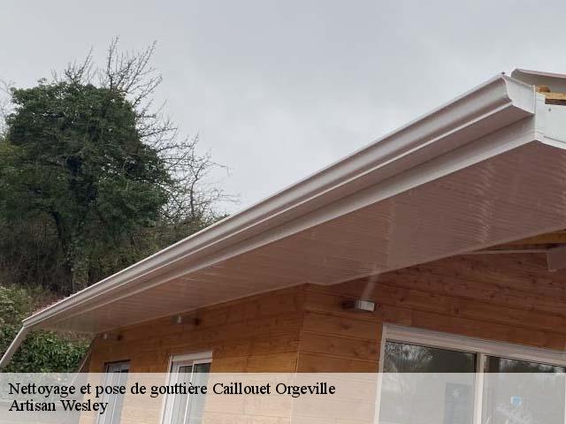 Nettoyage et pose de gouttière  caillouet-orgeville-27120 Artisan Wesley