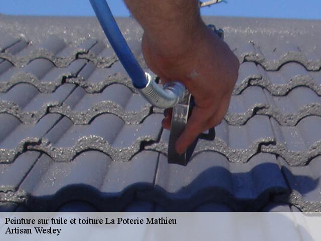 Peinture sur tuile et toiture  la-poterie-mathieu-27560 Artisan Wesley