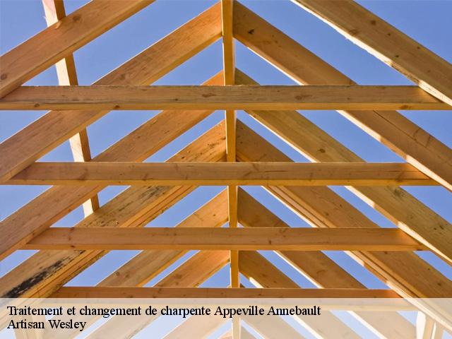 Traitement et changement de charpente  appeville-annebault-27290 Artisan Wesley