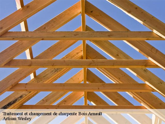 Traitement et changement de charpente  bois-arnault-27250 Artisan Wesley