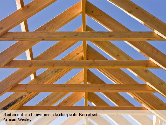 Traitement et changement de charpente  bosrobert-27800 Artisan Wesley