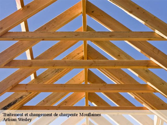 Traitement et changement de charpente  mouflaines-27420 Artisan Wesley