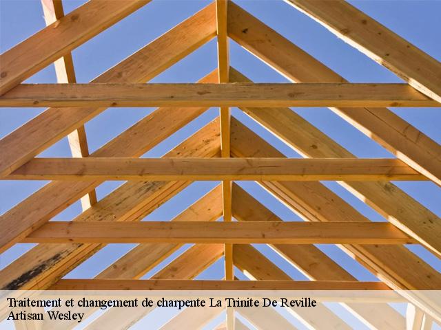 Traitement et changement de charpente  la-trinite-de-reville-27270 Artisan Wesley